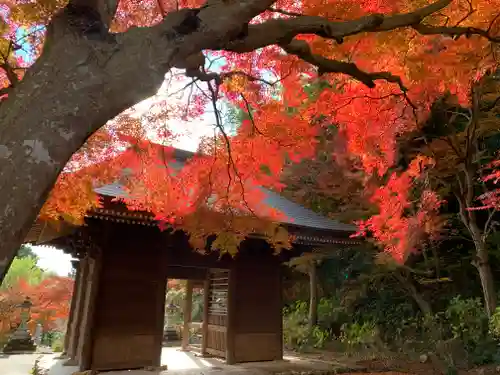 普門寺(切り絵御朱印発祥の寺)の山門・神門