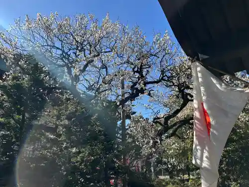 安養寺(東京都)