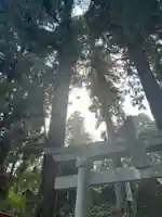 大宮温泉神社(栃木県)