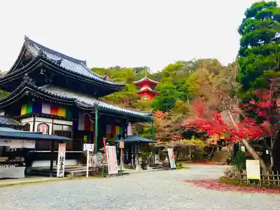今熊野観音寺(京都府)