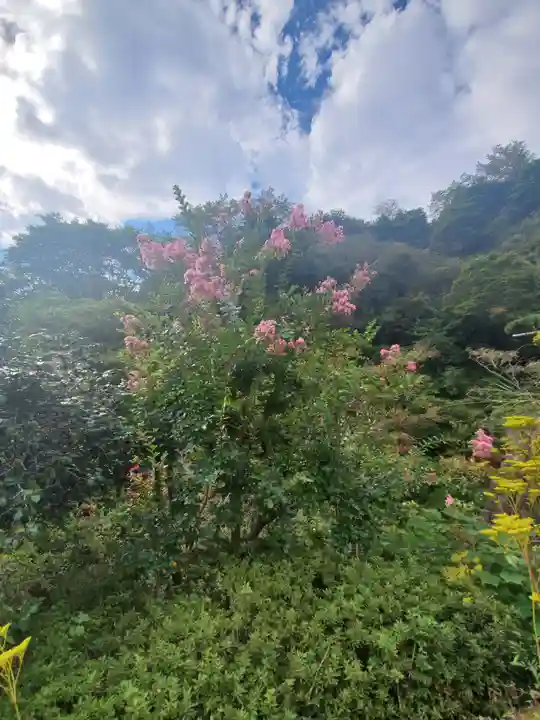 秩父札所三十二番 法性寺の自然
