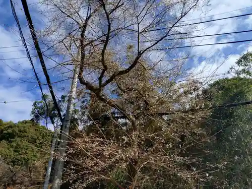 祝峰寺(愛知県)