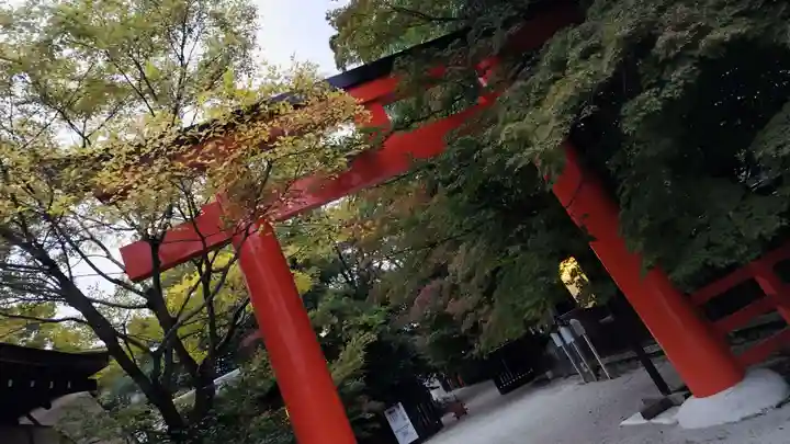 賀茂御祖神社(下鴨神社)(京都府)