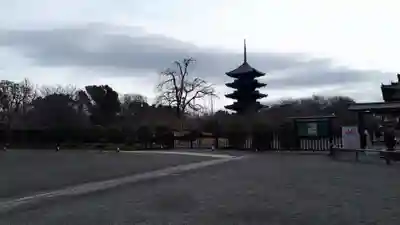 東寺（教王護国寺）(京都府)