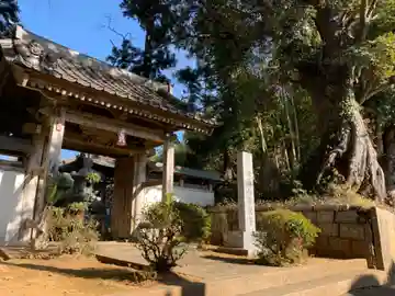 等覚寺の山門・神門