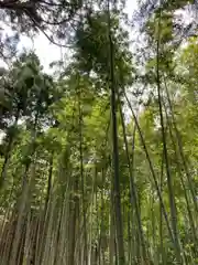 若王子神社の周辺