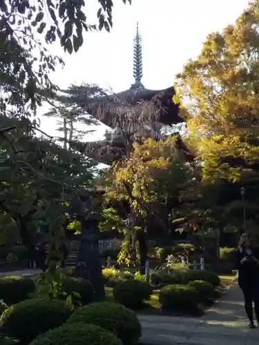 豪徳寺の塔