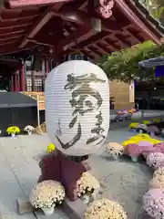 笠間稲荷神社(茨城県)