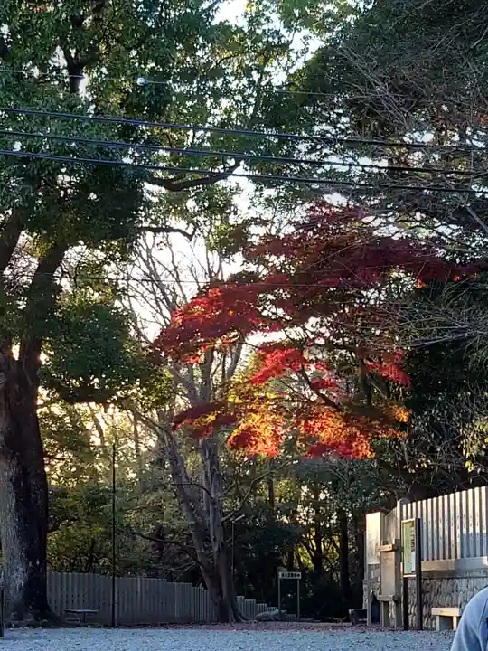 保久良神社(兵庫県)