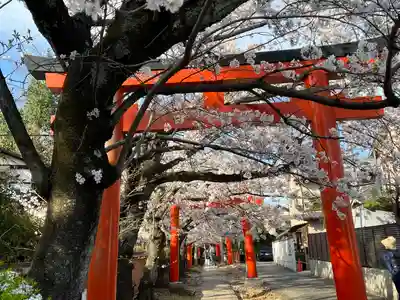 竹中稲荷神社（吉田神社末社）(京都府)