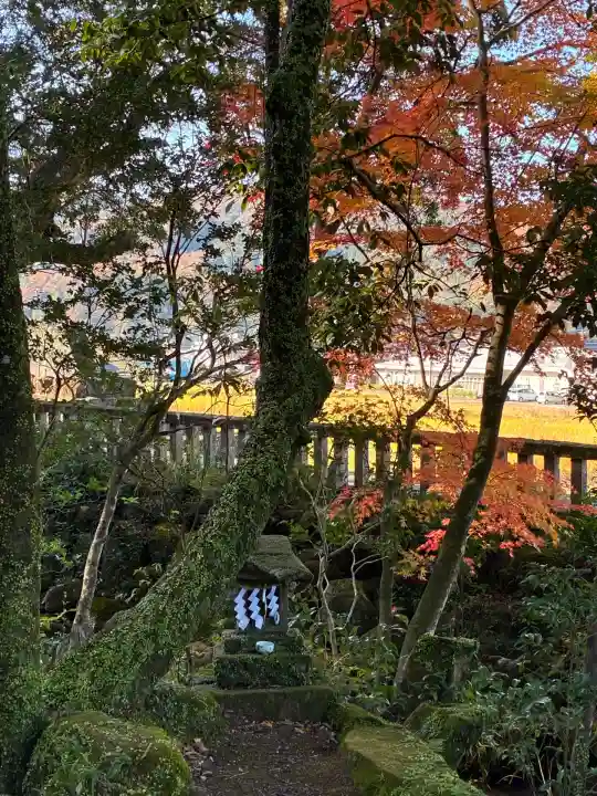 来宮神社(静岡県)