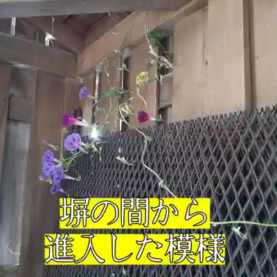 七重浜海津見神社(北海道)