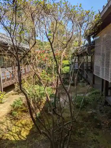圓通寺(京都府)