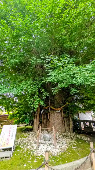鶴嶺八幡宮の{uncategorized: "未分類", other: "その他", undefined: "問題あり", building: "その他建物", grave: "お墓", sacred_gate: "鳥居", guardian: "狛犬", statue: "像", buddha: "仏像", history: "歴史", nature: "自然", garden: "庭園", animal: "動物", pagoda: "塔", temizu: "手水舎", mountain_gate: "山門・神門", sanctuary: "本殿・本堂", subordinate: "末社・摂社", art: "芸術", scenery: "景色", jizo: "地蔵", ema: "絵馬", goshuin: "御朱印", omikuji: "おみくじ", items: "授与品その他", amulet: "お守り", goshuincho: "御朱印帳", eats: "食事", festival: "お祭り", votive_dance: "神楽", shichigosan: "七五三参", wedding: "結婚式", experience: "体験その他", initially: "初詣", around: "周辺", anti_infection: "感染症対策"}