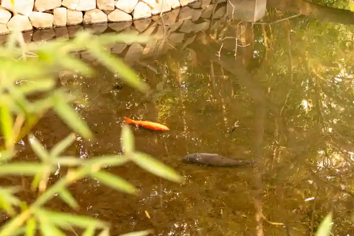 武蔵一宮氷川神社(埼玉県)