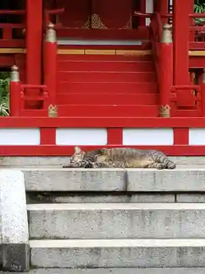 白金氷川神社(東京都)
