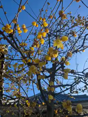 浄誓寺の{uncategorized: "未分類", other: "その他", undefined: "問題あり", building: "その他建物", grave: "お墓", sacred_gate: "鳥居", guardian: "狛犬", statue: "像", buddha: "仏像", history: "歴史", nature: "自然", garden: "庭園", animal: "動物", pagoda: "塔", temizu: "手水舎", mountain_gate: "山門・神門", sanctuary: "本殿・本堂", subordinate: "末社・摂社", art: "芸術", scenery: "景色", jizo: "地蔵", ema: "絵馬", goshuin: "御朱印", omikuji: "おみくじ", items: "授与品その他", amulet: "お守り", goshuincho: "御朱印帳", eats: "食事", festival: "お祭り", votive_dance: "神楽", shichigosan: "七五三参", wedding: "結婚式", experience: "体験その他", initially: "初詣", around: "周辺", anti_infection: "感染症対策"}