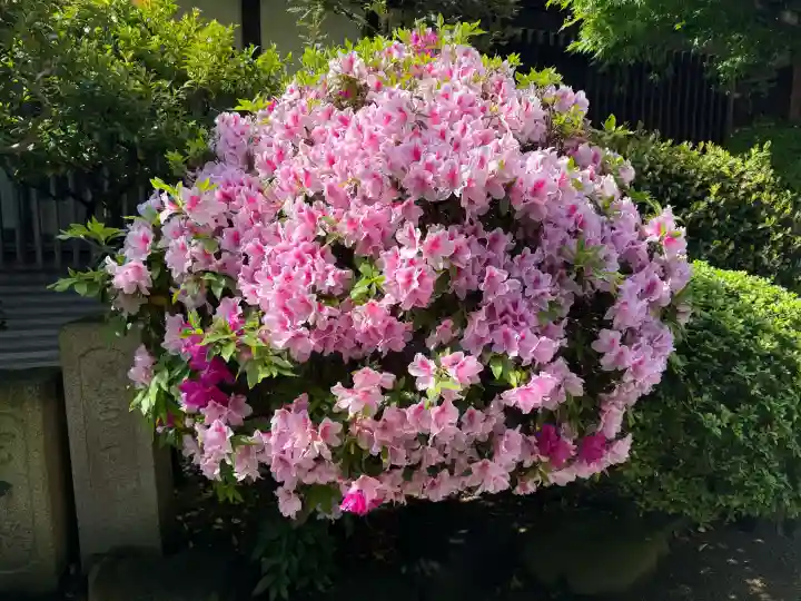 叶神社 (西叶神社)の{uncategorized: "未分類", other: "その他", undefined: "問題あり", building: "その他建物", grave: "お墓", sacred_gate: "鳥居", guardian: "狛犬", statue: "像", buddha: "仏像", history: "歴史", nature: "自然", garden: "庭園", animal: "動物", pagoda: "塔", temizu: "手水舎", mountain_gate: "山門・神門", sanctuary: "本殿・本堂", subordinate: "末社・摂社", art: "芸術", scenery: "景色", jizo: "地蔵", ema: "絵馬", goshuin: "御朱印", omikuji: "おみくじ", items: "授与品その他", amulet: "お守り", goshuincho: "御朱印帳", eats: "食事", festival: "お祭り", votive_dance: "神楽", shichigosan: "七五三参", wedding: "結婚式", experience: "体験その他", initially: "初詣", around: "周辺", anti_infection: "感染症対策"}