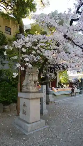 難波八阪神社の狛犬