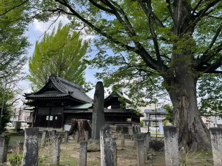 千形神社の{uncategorized: "未分類", other: "その他", undefined: "問題あり", building: "その他建物", grave: "お墓", sacred_gate: "鳥居", guardian: "狛犬", statue: "像", buddha: "仏像", history: "歴史", nature: "自然", garden: "庭園", animal: "動物", pagoda: "塔", temizu: "手水舎", mountain_gate: "山門・神門", sanctuary: "本殿・本堂", subordinate: "末社・摂社", art: "芸術", scenery: "景色", jizo: "地蔵", ema: "絵馬", goshuin: "御朱印", omikuji: "おみくじ", items: "授与品その他", amulet: "お守り", goshuincho: "御朱印帳", eats: "食事", festival: "お祭り", votive_dance: "神楽", shichigosan: "七五三参", wedding: "結婚式", experience: "体験その他", initially: "初詣", around: "周辺", anti_infection: "感染症対策"}