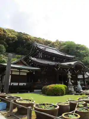 三室戸寺(京都府)
