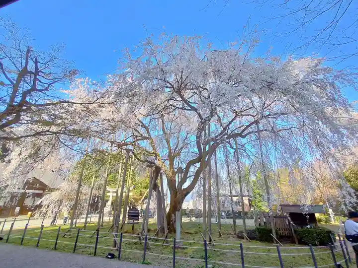 足羽神社(福井県)