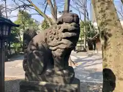 富岡八幡宮の狛犬