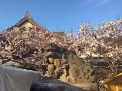 湯島天満宮の狛犬