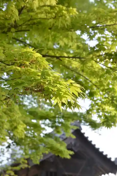 伊勢の国 四天王寺の自然
