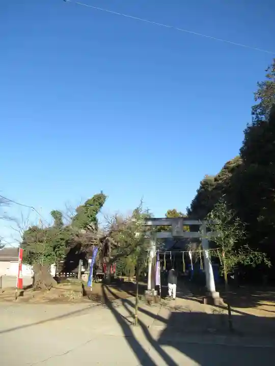 伏木香取神社(茨城県)