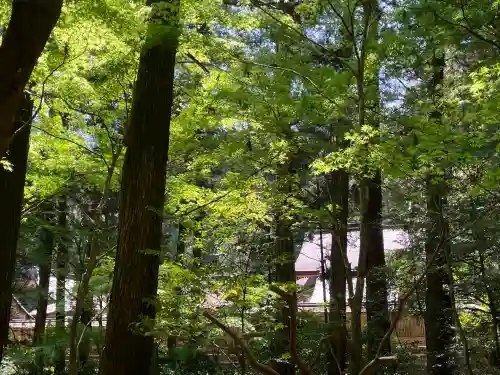 小國神社の{uncategorized: "未分類", other: "その他", undefined: "問題あり", building: "その他建物", grave: "お墓", sacred_gate: "鳥居", guardian: "狛犬", statue: "像", buddha: "仏像", history: "歴史", nature: "自然", garden: "庭園", animal: "動物", pagoda: "塔", temizu: "手水舎", mountain_gate: "山門・神門", sanctuary: "本殿・本堂", subordinate: "末社・摂社", art: "芸術", scenery: "景色", jizo: "地蔵", ema: "絵馬", goshuin: "御朱印", omikuji: "おみくじ", items: "授与品その他", amulet: "お守り", goshuincho: "御朱印帳", eats: "食事", festival: "お祭り", votive_dance: "神楽", shichigosan: "七五三参", wedding: "結婚式", experience: "体験その他", initially: "初詣", around: "周辺", anti_infection: "感染症対策"}