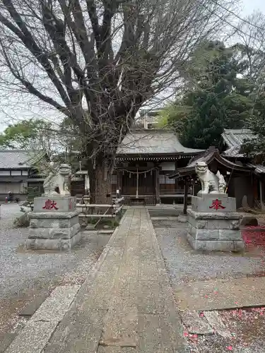 印内八坂神社の{uncategorized: "未分類", other: "その他", undefined: "問題あり", building: "その他建物", grave: "お墓", sacred_gate: "鳥居", guardian: "狛犬", statue: "像", buddha: "仏像", history: "歴史", nature: "自然", garden: "庭園", animal: "動物", pagoda: "塔", temizu: "手水舎", mountain_gate: "山門・神門", sanctuary: "本殿・本堂", subordinate: "末社・摂社", art: "芸術", scenery: "景色", jizo: "地蔵", ema: "絵馬", goshuin: "御朱印", omikuji: "おみくじ", items: "授与品その他", amulet: "お守り", goshuincho: "御朱印帳", eats: "食事", festival: "お祭り", votive_dance: "神楽", shichigosan: "七五三参", wedding: "結婚式", experience: "体験その他", initially: "初詣", around: "周辺", anti_infection: "感染症対策"}