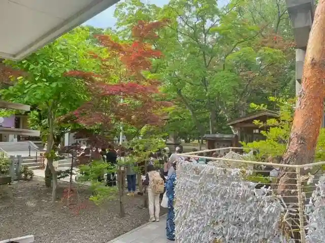 彌彦神社 (伊夜日子神社)のおみくじ