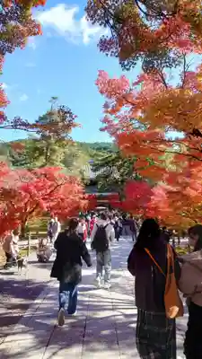 南禅寺(京都府)