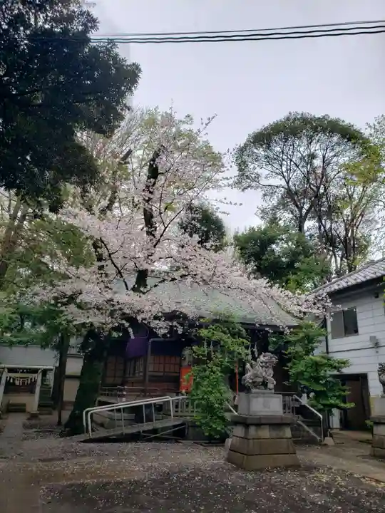 神明氷川神社(東京都)