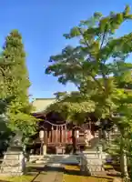 正八幡神社(東京都)