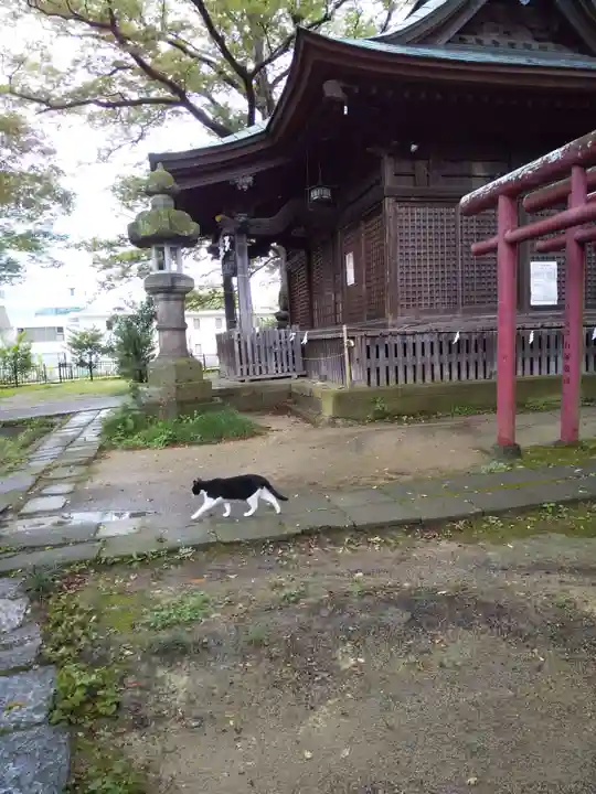 愛宕神社の動物