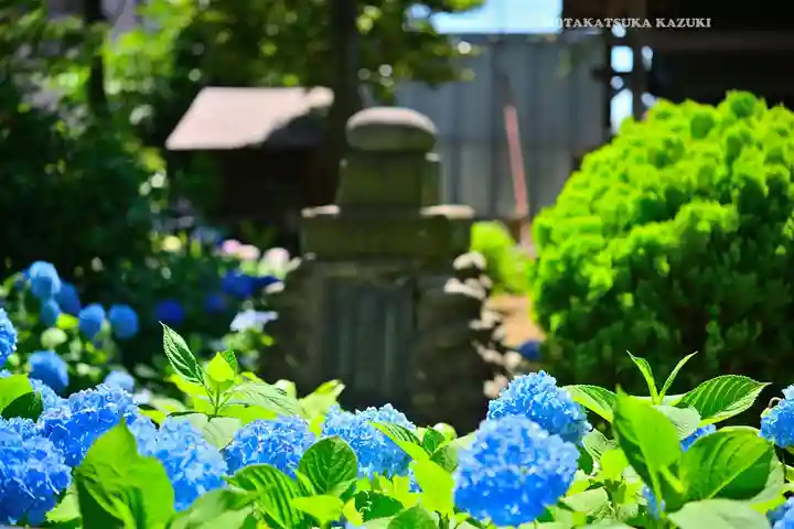白山神社(東京都)
