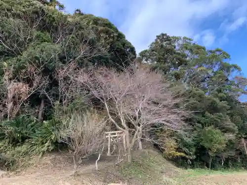 揚島天神社の鳥居