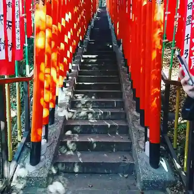 日枝神社の鳥居
