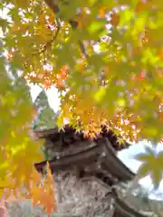 新海三社神社(長野県)