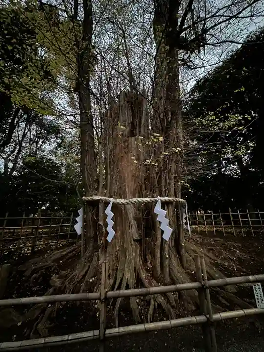 大國魂神社(東京都)