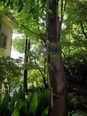 玉林寺の自然