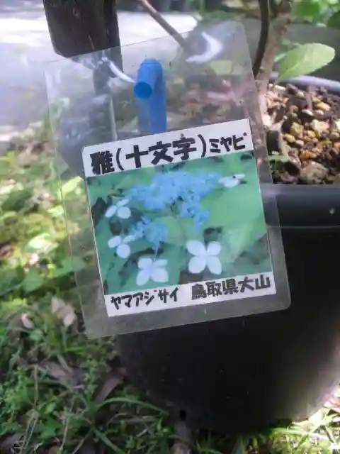 光則寺(神奈川県)