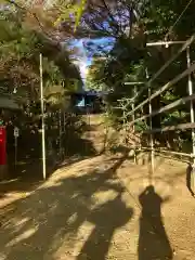 諏訪神社(神奈川県)