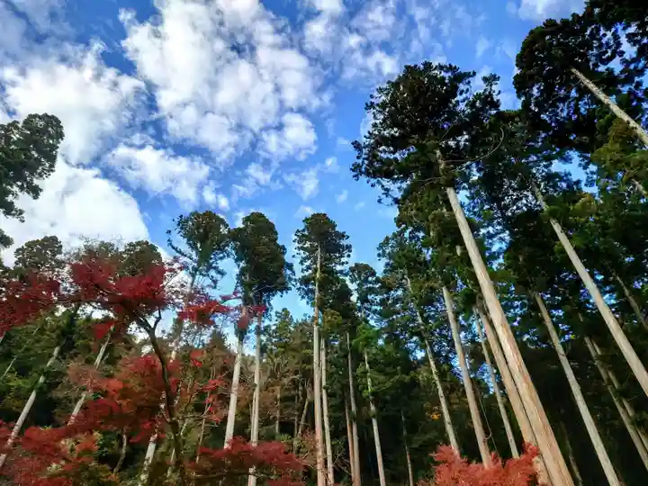 高山寺(京都府)