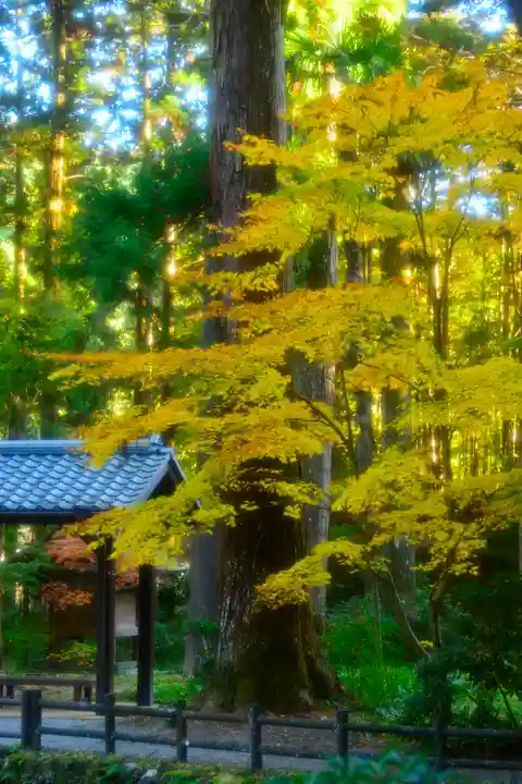 小國神社(静岡県)