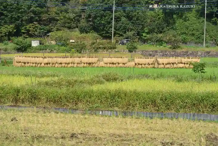 熊野神社(神奈川県)