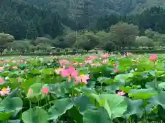 大塩八幡宮(福井県)