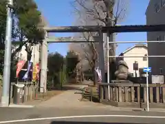 駒込天祖神社(東京都)